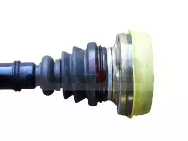 lauber-880696