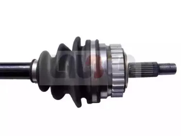 lauber-880793