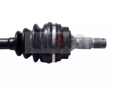 lauber-880805
