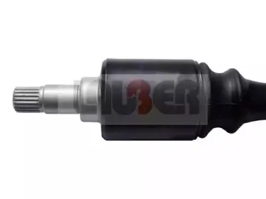 lauber-880805