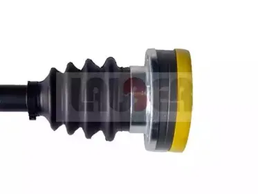 lauber-880826