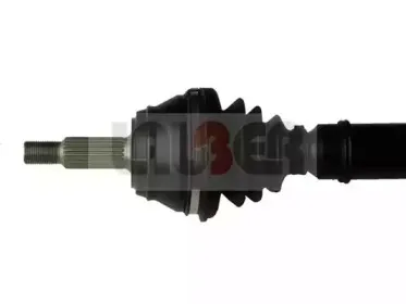 lauber-880827