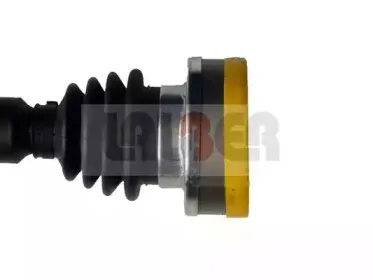 lauber-880827