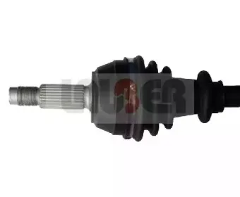 lauber-880845