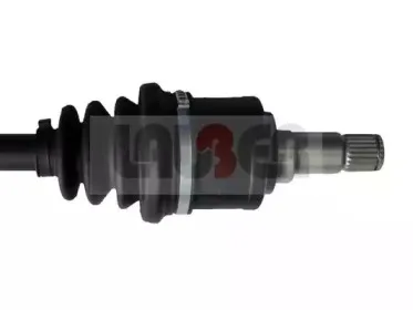 lauber-880845