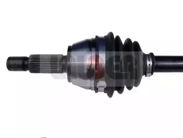 lauber-881367