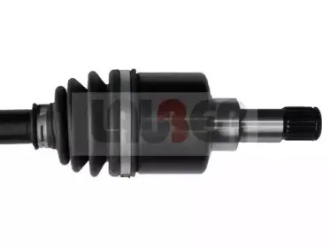 lauber-881368