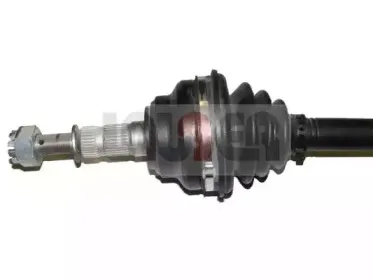 lauber-881458