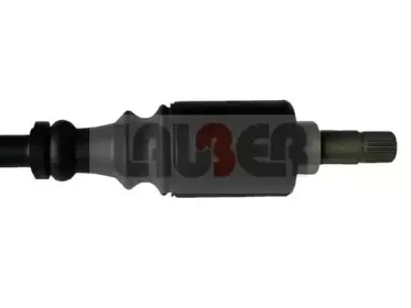 lauber-881497