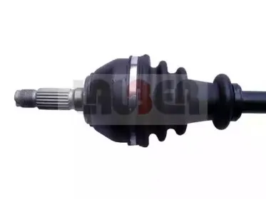 lauber-881499
