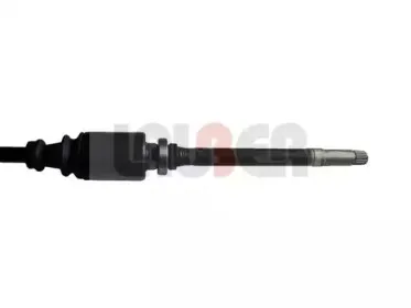lauber-881501