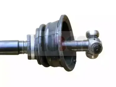 lauber-881631