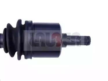 lauber-881638
