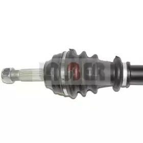 lauber-881647