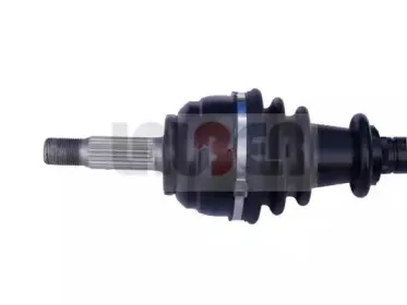 lauber-881650