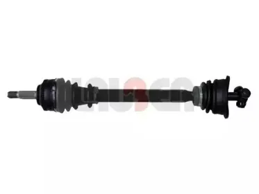 lauber-881666