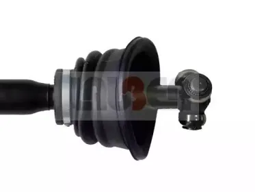 lauber-881666