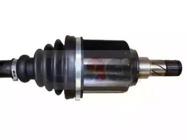 lauber-882073