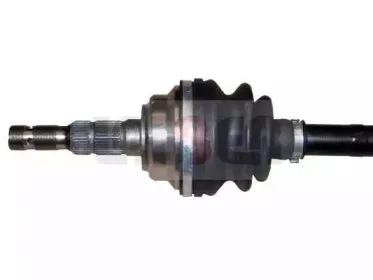 lauber-882081