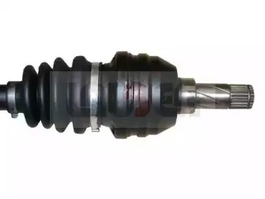 lauber-882081