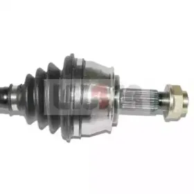 lauber-882106