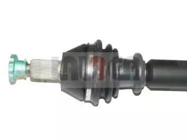 lauber-882113