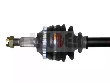 lauber-882147