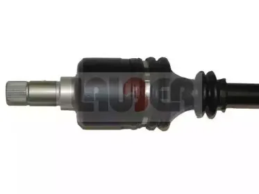 lauber-882149