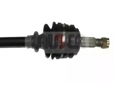 lauber-882149