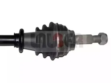 lauber-882156