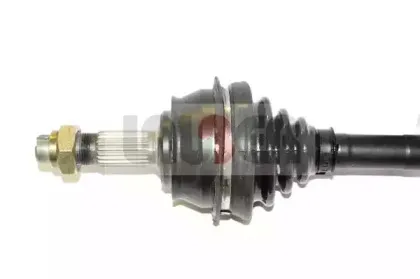lauber-882172