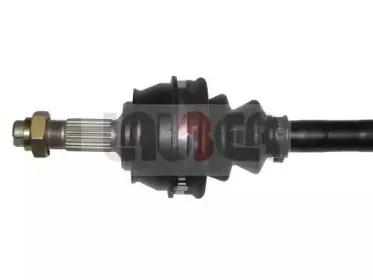 lauber-882175