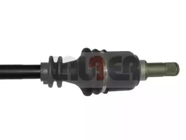 lauber-882175
