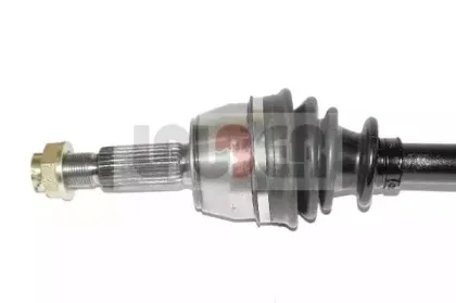 lauber-882178