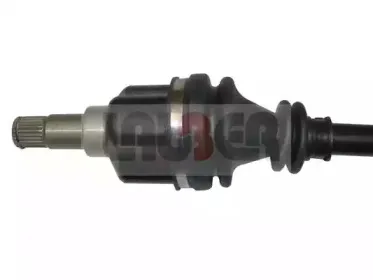 lauber-882179