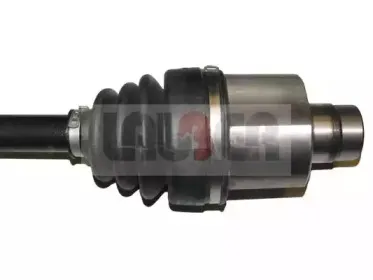 lauber-882187