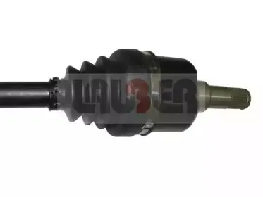 lauber-882188