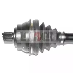 lauber-882189