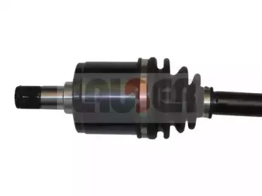 lauber-882200
