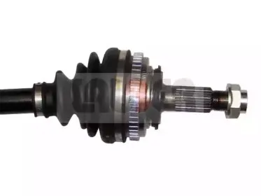 lauber-882200