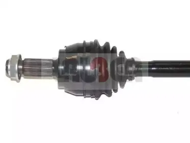 lauber-882216