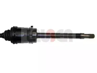 lauber-882233