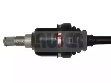 lauber-882235