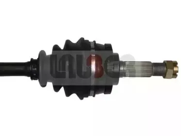 lauber-882235
