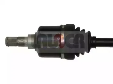 lauber-882236