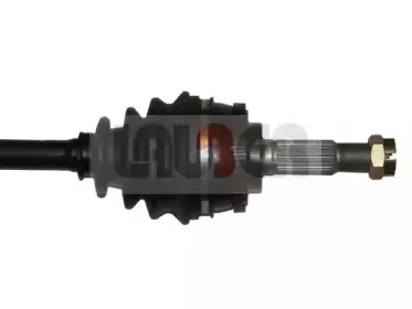 lauber-882236