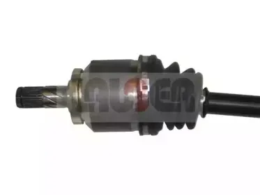 lauber-882238
