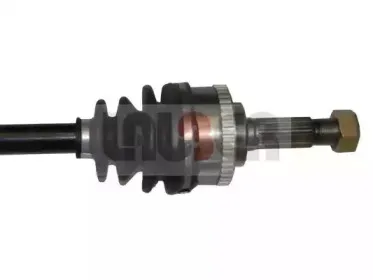 lauber-882238
