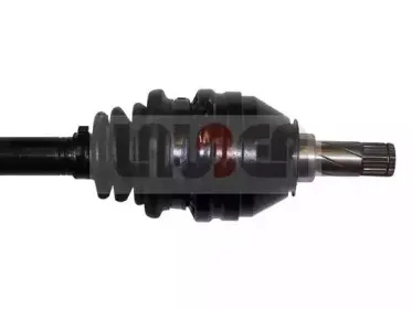 lauber-882252