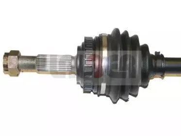 lauber-882256